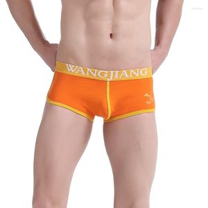 Underpants Man Cotton Spandex Underwear Male Bulge Penis Pouch Golden Scorpion Printed Men Boxers Shorts Panties WJ Brand