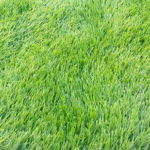 Decorative Flowers Simulated Green Plant Leisure Lawn Decoration Artificial Outdoor Fake Turf Environmental Protection Odorless Nordic Grass