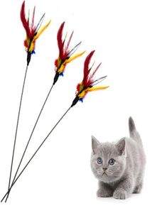 新しい猫のおもちゃからからかう猫スティック杖を保持している羽のペットおもちゃの遊び50cmからかいサプライズ3457467