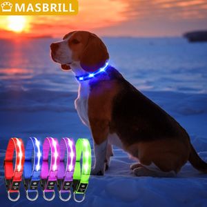 Собачьи воротники поводки Masbrill Light Up ворота водонепроницаемый USB -заряжаемый светящийся ночной защитный нейлон световой светодиод Bright Pet 230403