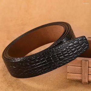 Belts PD406G56-PD406G99 Belt For Men And Women Double Buckle Genuine Leather Fashionable Metal With Gift Box