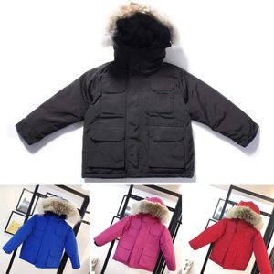 Crianças casaco bebê designer roupas para baixo casacos jaqueta criança vestir com emblema com capuz grosso quente outwear menina menino meninas clasic parkas 100% lobo pele estilo rosa azul