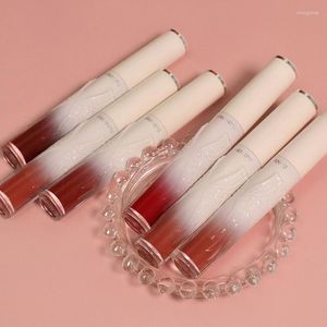 Lip Gloss Mirror Lipstick Matte Texture Waterproof Sweat Resistant Rich Color Long Lasting Sexy Lips Makeup TSLM1