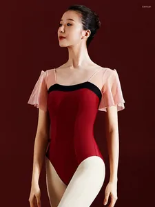 Stage Wear Daily Practice Ballet Dance Leotard Women Design Team Gymnastics Dancing Clothes Adult Professional Wholesale