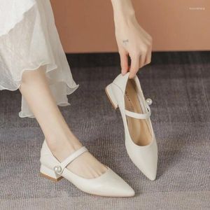 Dress Shoes Beige High Heels Women Pumps Pointed Toe Low Womens Slip-On T Straps Kawaii Sapatos Femininos