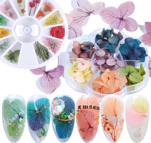 1 Roda Flor Seca 3D Decoração de Arte de Prego Gradiente Flores Naturais Adesivo para Gel UV Polonês Acessórios de Manicure Dica LY152417784897
