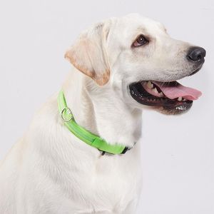 Dog Collars Nylon LED Light Night Pet Collar Safety Adjustable Glowing Necklace For Small Dogs Cat