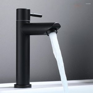 Bathroom Sink Faucets Sus304 Stainless Steel Washbasin Faucet Single Cold Water Tap Toilet Sanitary Ware Black