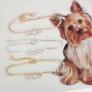 Dog Collars Chain Link Collar Princess Necklace Cat Jewelry Cute Puppy Accessories Chihuahua Wedding Stuff
