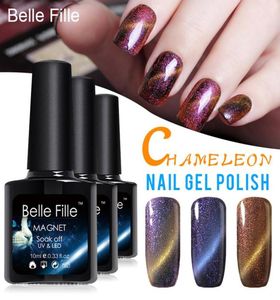 Whole Full Set 10ml UVLED Chameleon Cat Eye Magnetic Nail Gel Polishblack coatmagnet DIY Nail Art Long lasting Gel Nail7381683