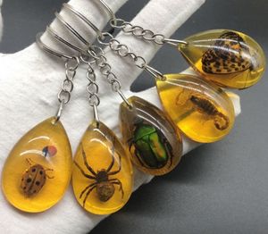2023 Symulowane owady bursztynowe pierścionki punkowe unikalne skorpion mrówki żywica pszczoły anime brelok dla mężczyzn Dekoracja Dekoracja fajna biżuteria modowa
