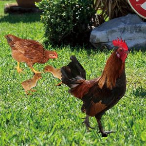 Decorative Figurines 4 Pcs Lawn Hen Chick Ground Plug Juneteenth Outdoor Decorations Acrylic Yard Silhouette Stake