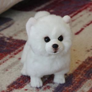 Plush dockor Pomeranian Plush Toy Dog Doll Simulation Dog fylld Animal Toy Super Realistic Dog for Pet Kawaii Födelsedagspresenter för barn 231102