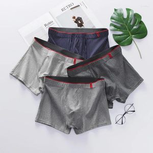 Mutande Intimo da uomo Moda Uomo Boxer Sexy Spesso traspirante Mutandine comfort maschile L-4XL Ragazzi a righe