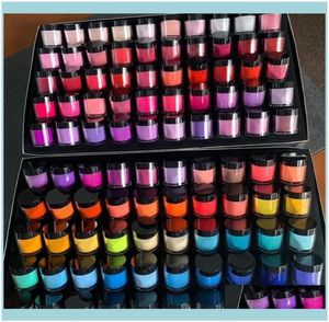 Polveri acriliche Liquidi Nail Art Salon Salute Bellezza 10GBox Polvere ad asciugatura rapida 3 in 1 French Nails Match Color Gel Polish Lacu7359372044