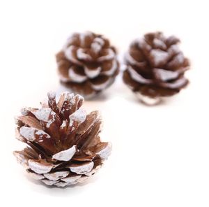 Flores decorativas grinaldas 1020 pçs pinha natural pinha árvore de natal toppers ano festa natal mesa mini decoração diy 1361123