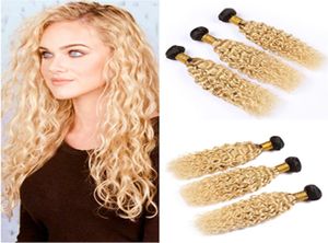 1B 613 Ombre Water Wave Peruvian Virgin Hair Weave Wefts Ombre Blonde Human Hair 3 Bundles Deals Wet and Wavy Hair Extensions 108757545