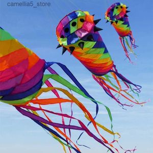 Drachenzubehör 3,5 m 3D Soft Rainbow Rotating Tail Kite Can Lead Hanger Kite Long Adult Large Software Kites Dynamic Rotating Tail Cometas Q231104