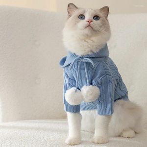 猫のコスチュームセーターフード付き暖かいinsスタイルペットの服秋と冬の脱毛を防ぐ大人の猫の子猫セーター製品