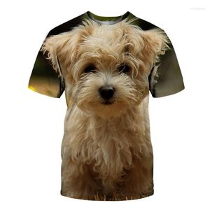 Men's T Shirts 3d Printed T-shirt Male / Female 2023 Fashion Cute Animal Funny Dog Short Sleeve Summer Top 3DT Shirt Men Clothing