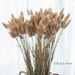 Flores decorativas grama de cauda natural seca para decoração Lagurus Bouquet Boho Coffee Table Table Decoration