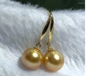 Stud Earrings Gorgeous Huge 16mm Round South Sea Golden Shell Pearl Earring