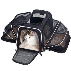 Transportador de cães portátil de grande capacidade estendido saco para animais de estimação dobrável gaiola para gatos de aviação veicular