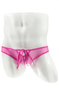 Cuecas masculinas sissy roupa interior transparente briefs sexy malha cinta macia confortável triângulo calças bikini gay deslizamentos cueca calzoncillos