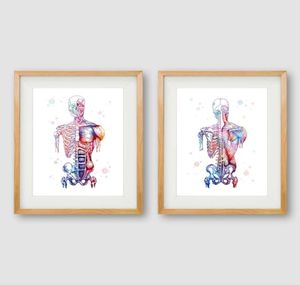 Músculos humanos impressão de arte em tela e pôster aquarela sistema muscular esqueleto anatomia pintura arte corporal impressão médica decoração de parede4318304