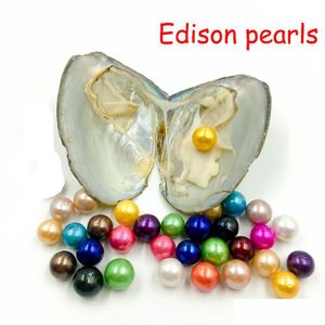 Pearl 25pcs/Lot New Rainbow 9-12 mm Edison Pearl in Freshwater Wish Znaczenie Śmieszne prezent urodzinowy dla kobiet impreza biżuteria DIY Drop Dhmpy