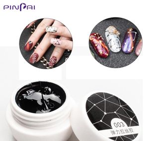 Disegno a filo Gel Nail Art Design Pittura Gel Vernice Punto a linea Creativo DIY Tirare Filo Silk Spider UV Nail Gel G1923497046