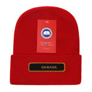 2111 Kanada Sticked Hat Luxury Baseball Cap Designer Herr- och kvinnors vinterbroderade logotyp Goose Beanie Cap