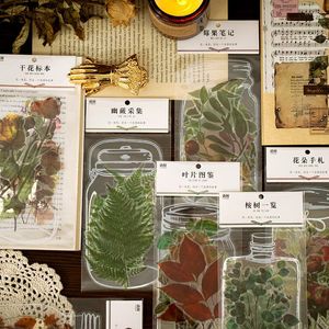 Wrap regalo 11pcs/confezione Clear Vintage Plant Bottle PVC Adesivo PV per Manuale di scrapbook fai -da -te Card Card Making Decoration Carfts Forniture