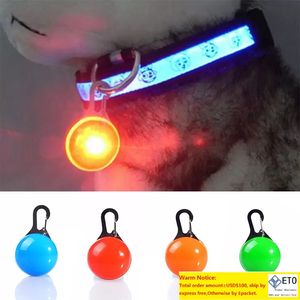 Ciondolo per cani e gatti Collare lampeggiante luminoso Ciondolo di sicurezza LED Collana di sicurezza Ciondolo con luce notturna