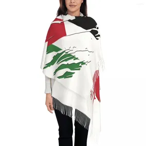 스카프 패션 팔레스타인 항상 술 스카프 여성 겨울 가을 따뜻한 목도리 랩 랩 레이디 팔레스타인