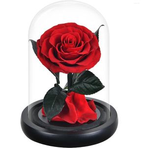 Dekorativa blommor bevarad naturlig ros i mini glas kupol för alltid rosor hem inomhus dekor mödrar valentiner dag gåva evigt för hustru