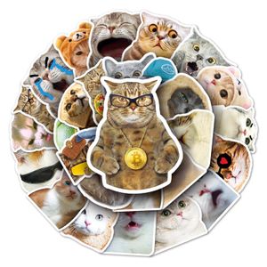 50pcs猫の感情ステッカー面白い子猫の表現ステッカー漫画キッズステッカーおもちゃグラフィティステッカー混合電話ケース荷物防水DIYデカール