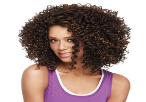 Woodfestival African American Wig Synthetic Short Afro Kinky Curly Wigs For Black Women Medium Längd Fiber Hair4709551