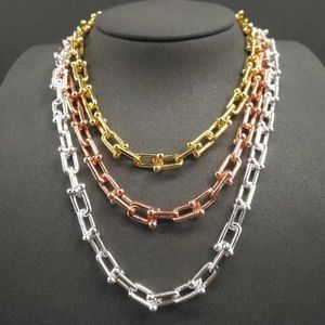 925 Sterling Silver Necklace For Women Hardwear Series Chain Link Halsband Charm Small U Type Halsband Lyxvarumärke smycken265j