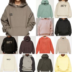 Kids Hoodies ess Boys Clothes Hoody Sweater Toddler Long Sleeve Girls Casual Kid Loose Letter Designer Pullover Sweatshirts Youth Children Clothing Bab h9o4#
