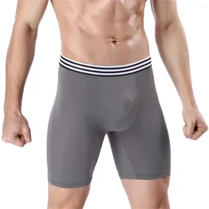 Abbigliamento da motociclista Pantaloncini da boxe da uomo Comodi - Intimo da corsa e da ciclismo di grandi dimensioni stile lungo Qualità nobile