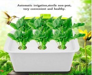 6 orifícios Sistema de hidropônicos Sistema hidropônico Grow Kit Bubble Indoor Garden Cabinet Box Supplias