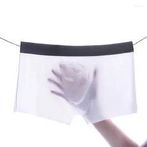 Unterhosen 2023 Mode Herren Ultradünne Eis Seide Transparent Sexy Boxer Höschen Männliche Homosexuell Shorts Mann Hipster Unterwäsche Erotische Dessous