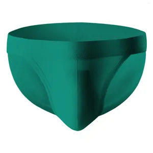 Underpants Men's Underwear Male Sexy Solid Briefs For Men Brief Cotton Panties Slip Hombre Calcinha Cuecas