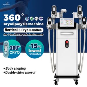 Cryo Shape Improving Obesity Vacuum Machine Vertical 360 Degree Cryolipolysis Fat Freeze Machine 5 Handles Weight Loss Skin Tightening Double Chin Removal