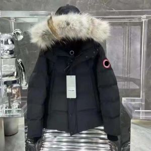 2023 Top Herren Wyndham Winterjacke Arctic Coodie mit Pelzverkauf Schweden Homme Doudoune Manteau Kanada Designer