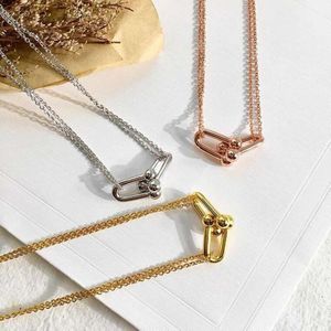 Tiffanylris Ecklace Tファミリーダブルリングネックレス925スターリングシルバーメッキ18Kゴールドペディフリーチタンスチールダブルリングペンダントチェーンティフ