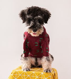 新しい犬のセーターファッションブランドJarre Aero Pomeranian Schnauzer Pet Clothes Fall Winter Fashion Dog Coat