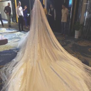 Bridal Veils High-Profile Figure Champagne Gold-Sprayed Sequins Large Tail Length Veil Studio Pography Wedding Accessories