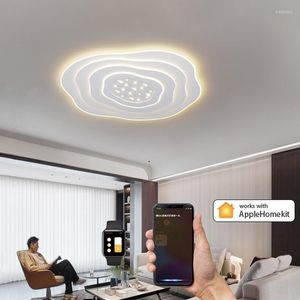 Avizeler Modern Minimalist Yatak Odası Yaratıcı Yıldız Ev Led Flush Montaj Tavan Işıkları Nordic Master Lambalar